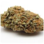 Шишки AK47  (Гидропоника, Бошка) VHQ в Великом Устюге